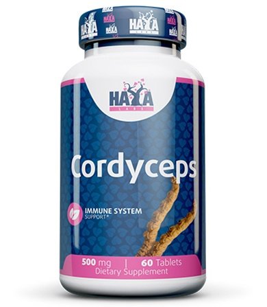 Cordyceps sinensis – tradicionalna gljiva za energiju, vitalnost i otpornost.